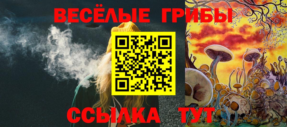 Псилоцибиновые грибы прущие грибы Балашиха