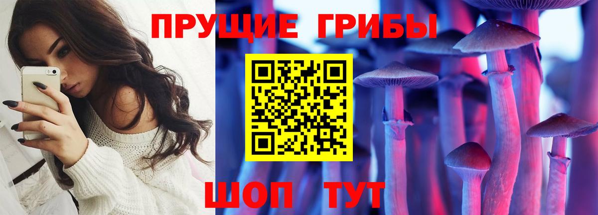 Галлюциногенные грибы Psilocybe  Вход с VPN  Балашиха 